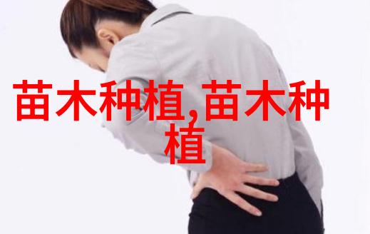 榆树芳香木囊蛾的防治
