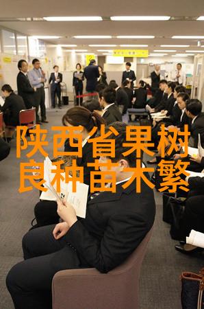 爱我就送我红豆杉