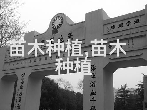 揭秘中国苗木花卉之乡铸就美丽的花卉文化