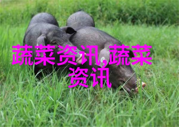 宁夏西吉县出大招芹菜重出江湖