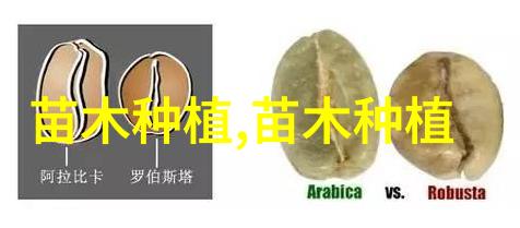 白蜡种植的容器育苗的施肥技巧
