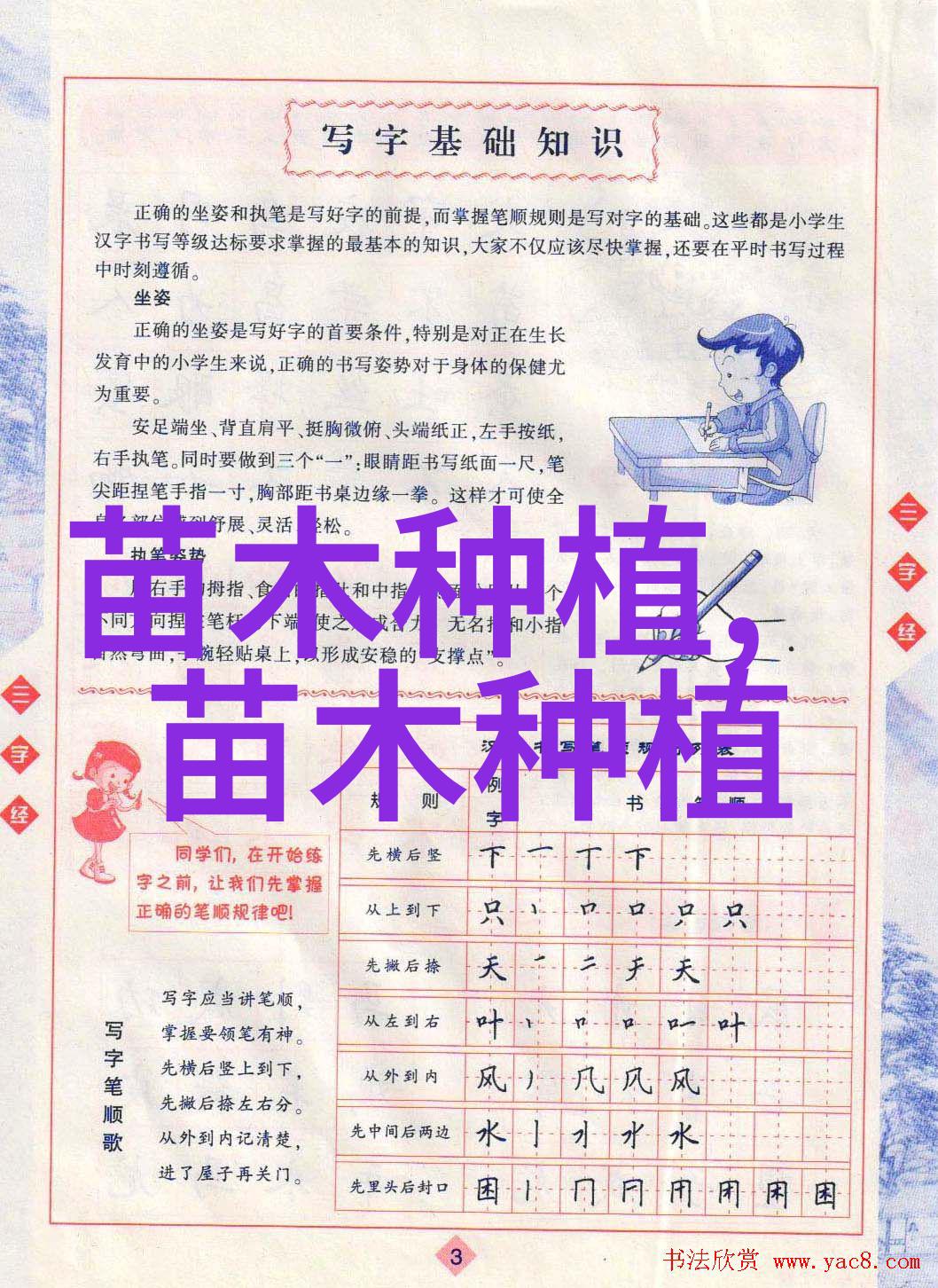 侧柏怎么播种育苗