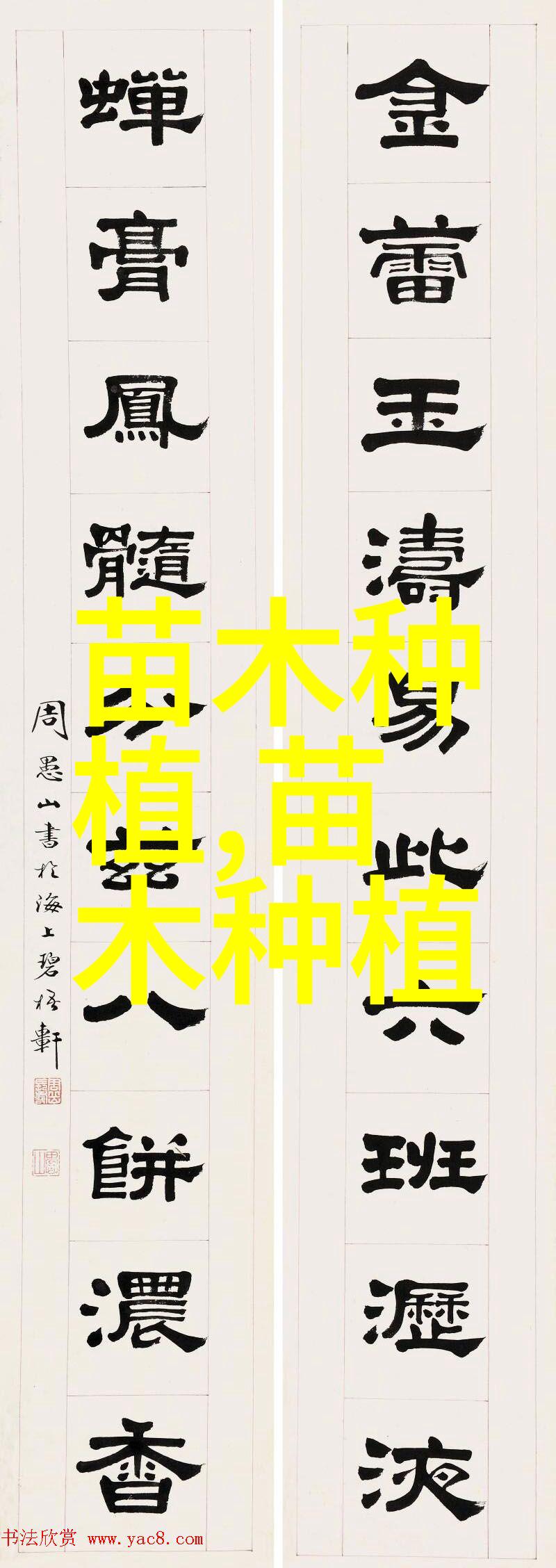侧柏茎腐病的防治