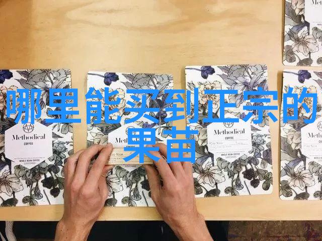 甘肃发现国家珍稀树种麦吊云杉