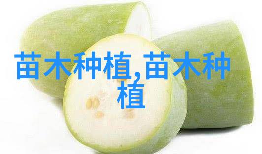 秘花土怎样配 养太阳花怎样配土比例