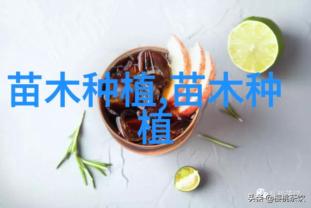 杨树施肥技术4要点