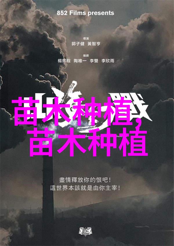侧柏种植的圃地选择