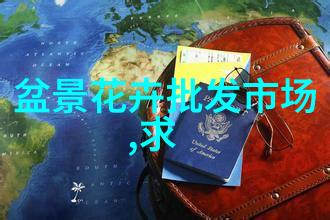 雪岭云杉大苗移栽技术