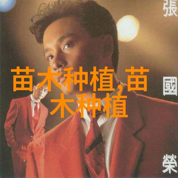 阅读反思总结