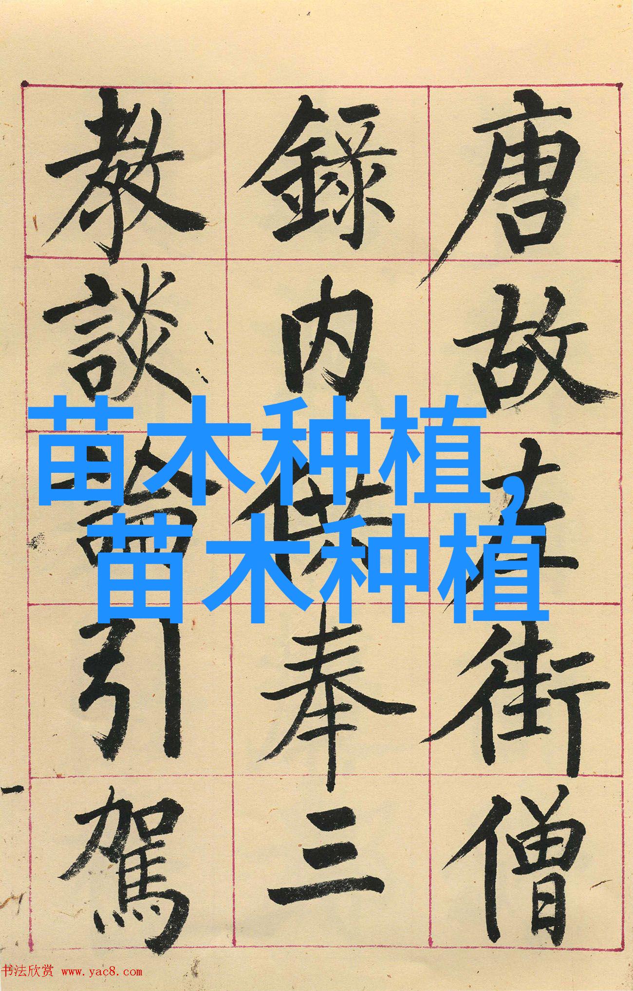 掌握园艺技能花卉种植培训学校的全面指南