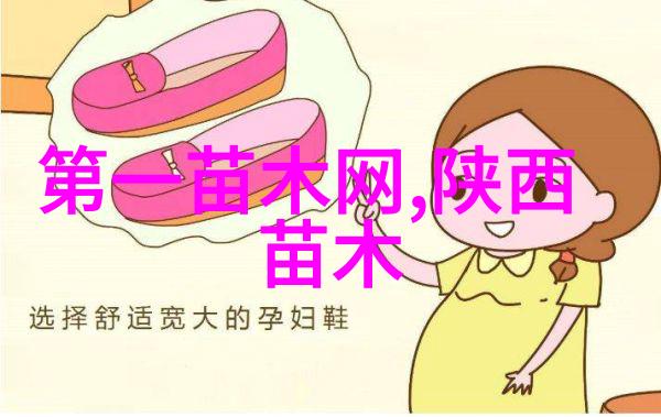 侧柏与柏树有什么区别