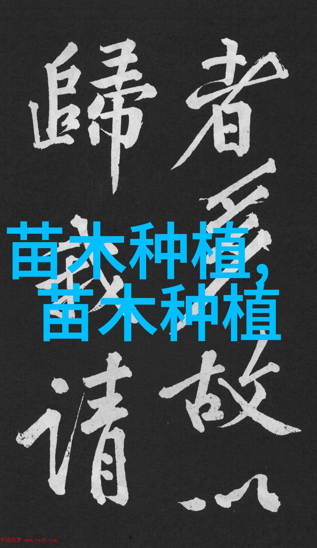 谁能告诉下多肉红缘莲花掌的种植养护