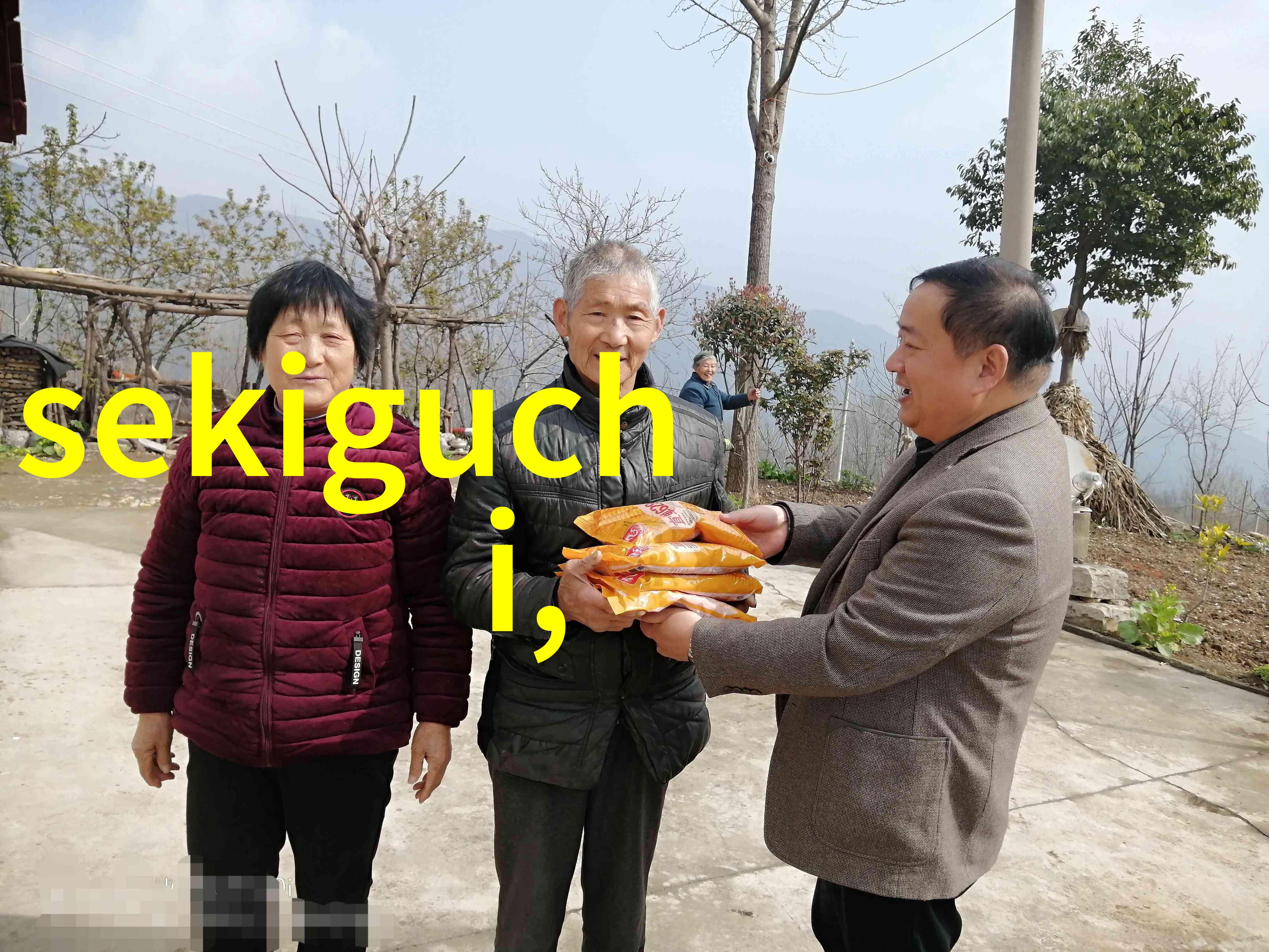 北京小区绿化居民开荒种杨树