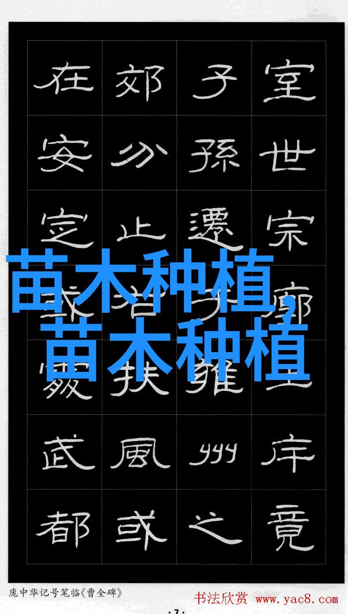 获取花卉苗木生产经营许可证的全攻略