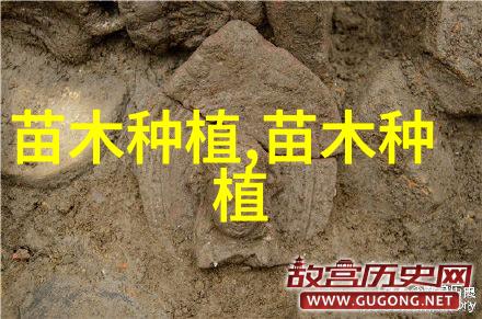 进入苗木花卉交易市场你必须了解的资质要求