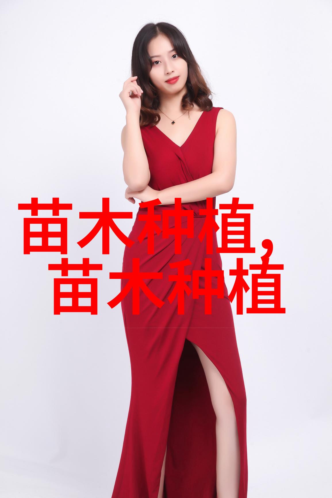 侧柏的生态习性