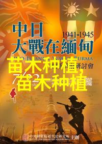 杨树的田间管理