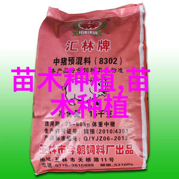 榆树的种植方法