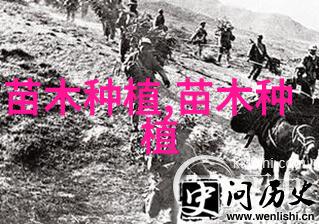 榆树的品种分类