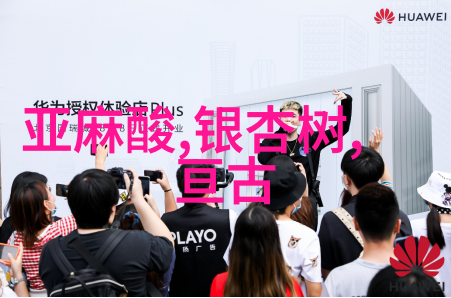 长叶云杉你知多少