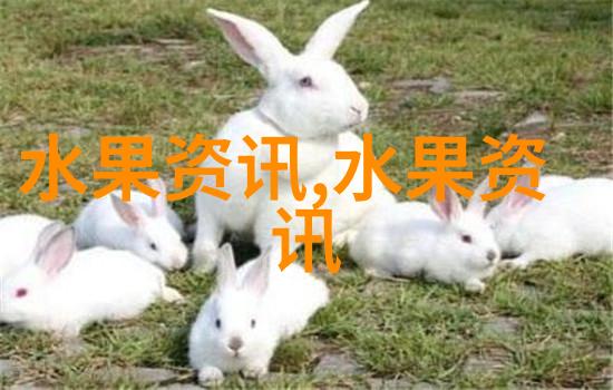 番荔枝上市市场反应良好