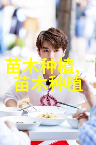大型的侧柏树如何修剪