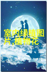 隰县森林公园云杉果实累累