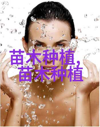 广州多肉植物养护指南从新手到专家的全方位攻略