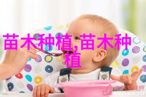 榆树的种类和价值是什么