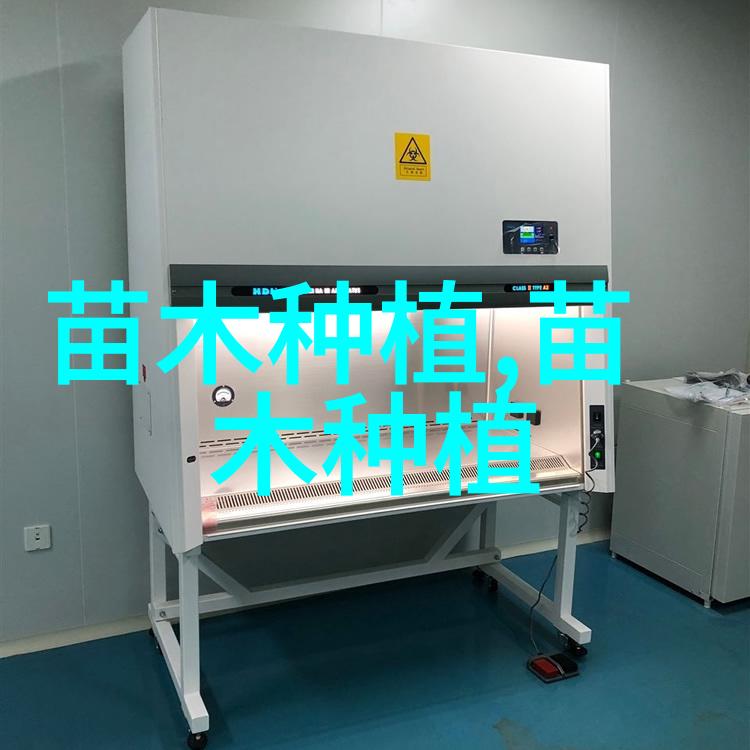 榆树烂皮病的防治