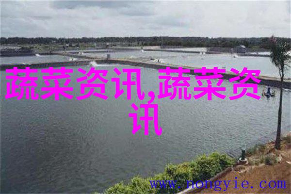 有机绿芦笋栽培技术要点