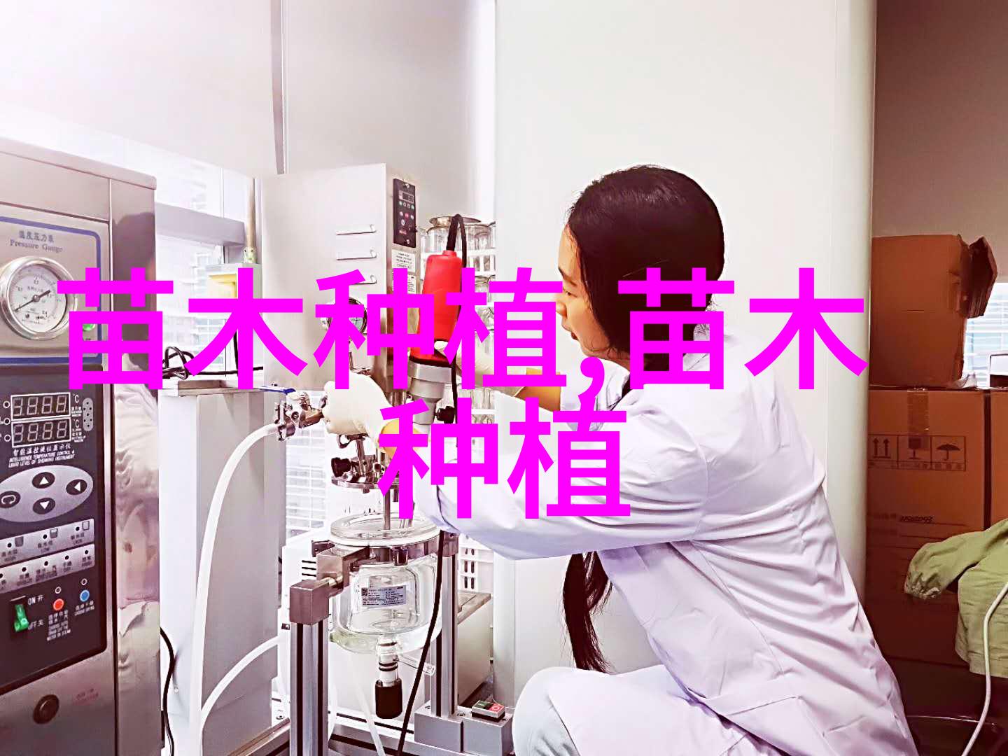杨树钻蛀类虫害防治方法