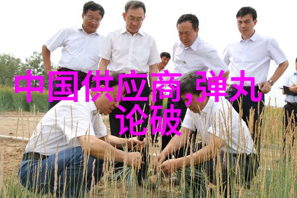 郑州锁链长树里法桐很受伤