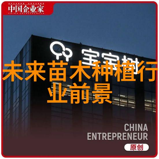 长沙雀园路书香路新植法桐树