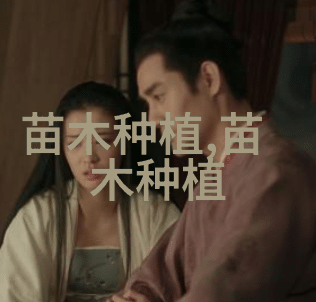 全面解析苗木市场的占有率与发展趋势