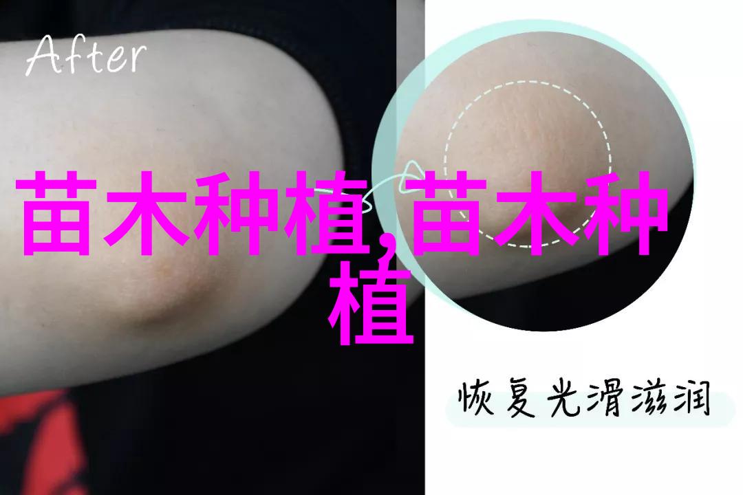 侧柏怎么种植