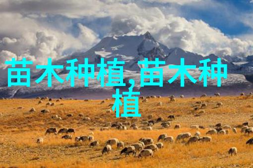 花卉苗木生产与开发开启丰收之路的秘诀