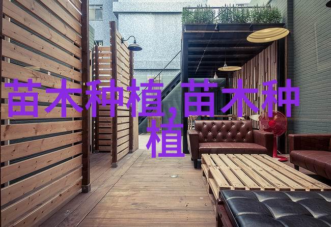 行业发展前景及现状分析