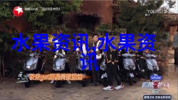 番荔枝进入成熟旺季