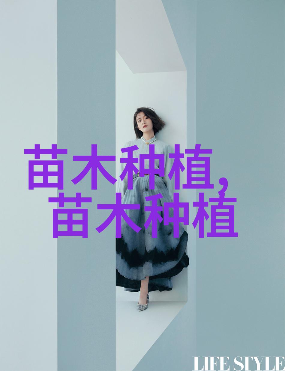 侧柏种植的促苗生根法
