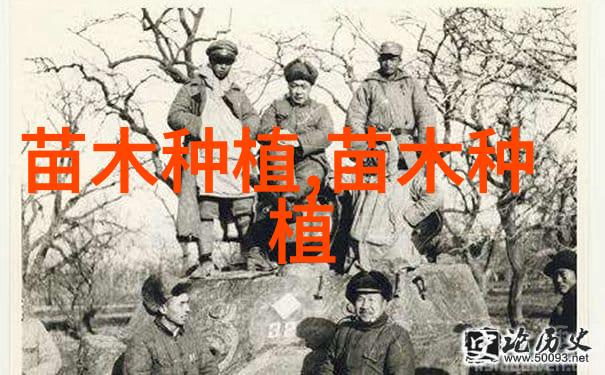 2025年一号文件中国农机产业发展将迎来新阶段