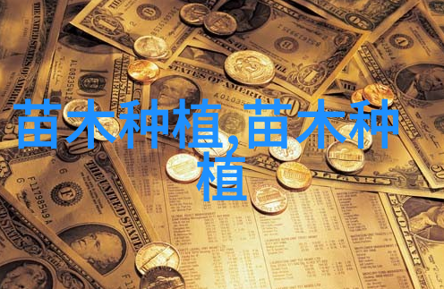 多肉玉扇养护技巧与独特魅力的完美结合