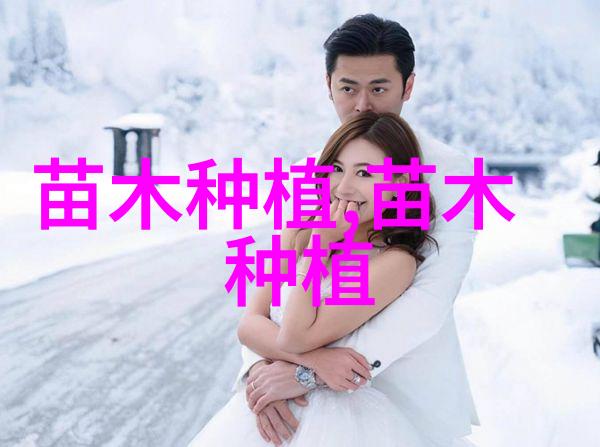 探索青州黄楼花卉批发市场花卉采购的理想之地