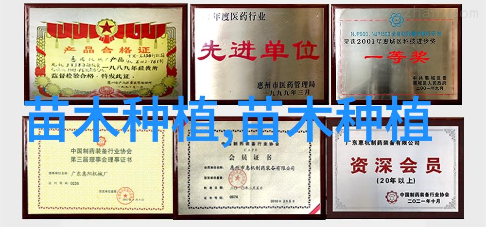 花卉苗木全解析种类价格与选购指南