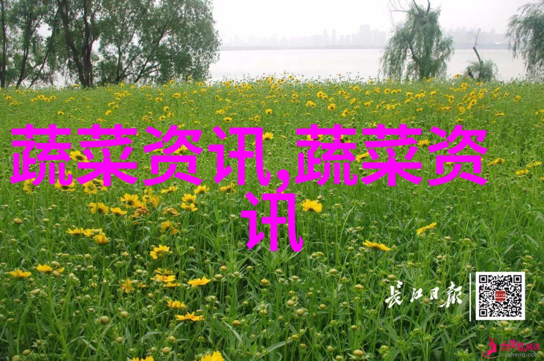 芦笋的种植环境